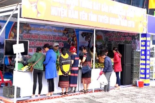 Quảng bá cam sành Hàm Yên tại Đà Nẵng