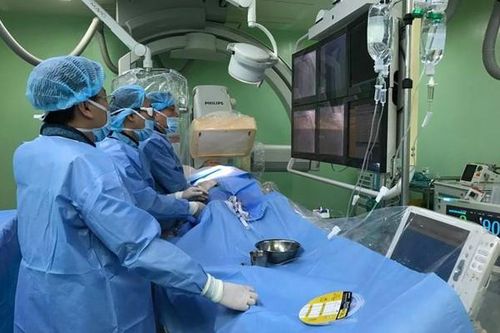 Thực hiện hơn 520 ca ghép mô, tạng trong năm 2019