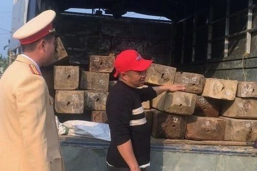 Tài xế chở gỗ lậu bỏ chạy khi thấy công an