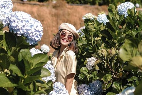 Đà Lạt, Sa Pa 'cháy phòng' dịp Tết dương lịch