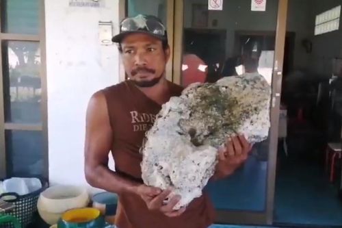 Nhặt rác trên bãi biển, bất ngờ tìm được báu vật Long Diên Hương