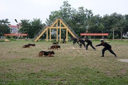 Huấn luyện và sử dụng hiệu quả động vật nghiệp vụ vào trấn áp tội phạm