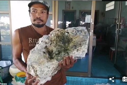 Nhặt được cục long diên hương giá hơn chục tỷ đồng