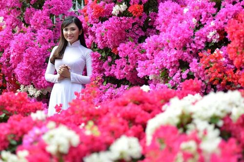 Lịch nghỉ tết dương lịch, âm lịch trong tháng 1/2020