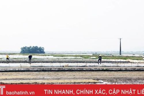 Tranh thủ ngày đông nắng ráo, nông dân Hà Tĩnh tất bật sản xuất lúa xuân, chăm sóc hoa màu