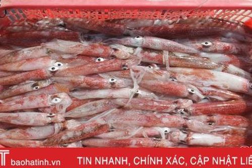 Cơ hội để nước mắm Kỳ Ninh, mực Thạch Kim tăng giá trị sản phẩm