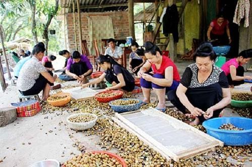 Sơn La xây dựng sản phẩm OCOP từ thế mạnh địa phương