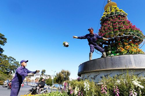 Diện mạo mới cho phố hoa Đà Lạt trước khi vào hội