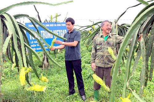 Tiền đề để sản xuất nông nghiệp sạch