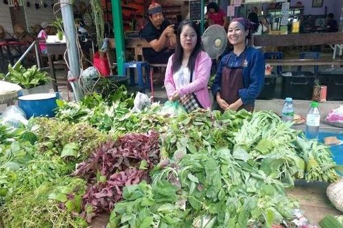 Cộng đồng Phật giáo tự cung tự cấp ở Thái Lan