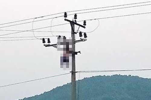 Một người đàn ông tử vong do trèo cột điện