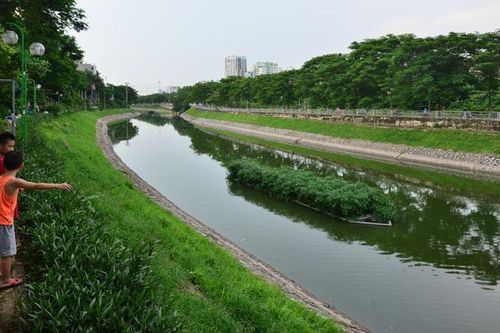 Phương án tối ưu hồi sinh sông Tô Lịch