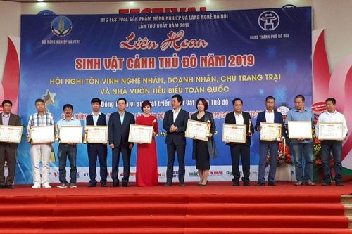 Gia tăng giá trị sinh vật cảnh Thủ đô