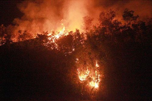 Cháy rừng tại xã Noong Luống, huyện Điện Biên