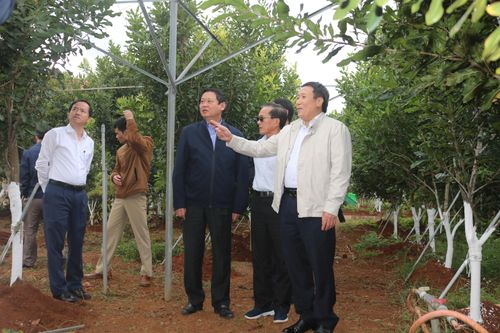 UBND tỉnh Quảng Trị kiểm tra tiến độ triển khai dự án trồng và phát triển cây mắc ca tại huyện Hướng Hóa
