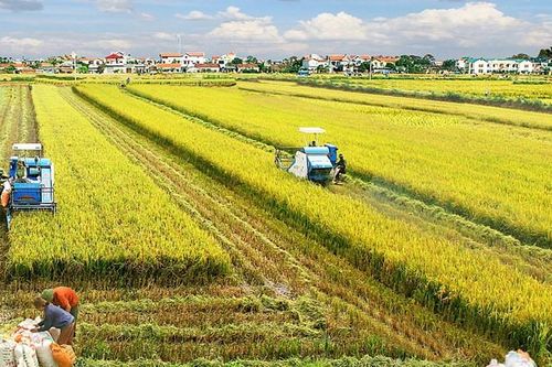 Cơ cấu lại kinh tế nông nghiệp trên địa bàn Thành phố Hà Nội: Những nội dung cần tập trung đột phá