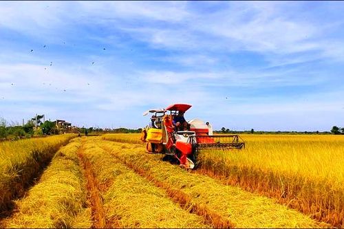 Ngành Nông nghiệp Việt Nam đứng trước những cơ hội và thách thức của hội nhập kinh tế quốc tế