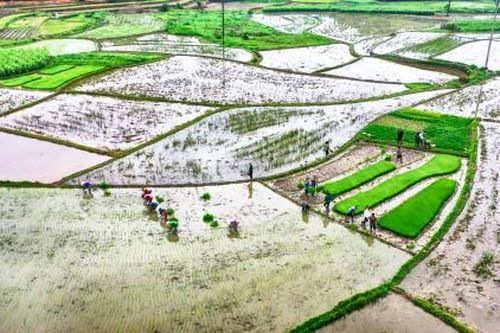 Bảo đảm nước cho sản xuất vụ xuân 2020