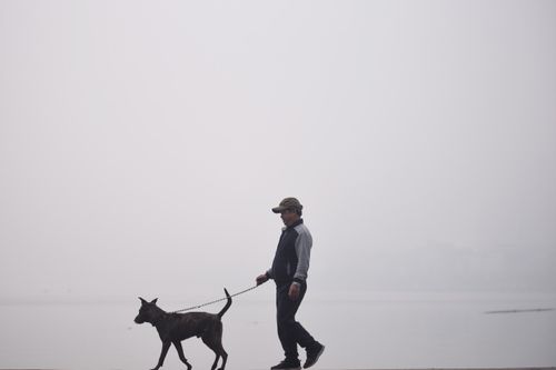 Không khí TP.HCM trong lành sáng nay, chỉ số AQI ở Hà Nội vẫn xấu