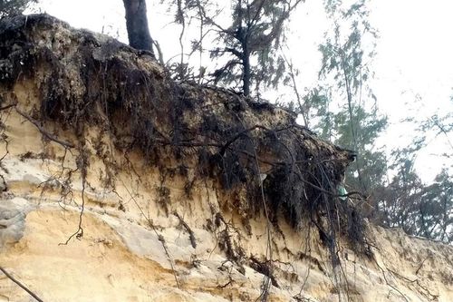 Hoang mang biển 'nuốt' xóm làng, nhiều hộ dân phải di dời khẩn cấp