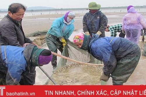 'Vua ngao' Hà Tĩnh kể chuyện thuần phục ngao Bến Tre để làm giàu