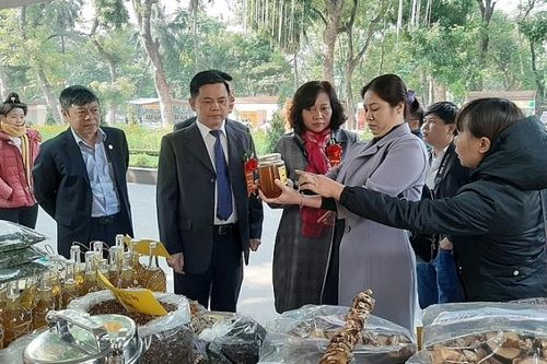 Xúc tiến, quảng bá sản phẩm hợp tác xã năm 2019 tại khu vực phía Nam