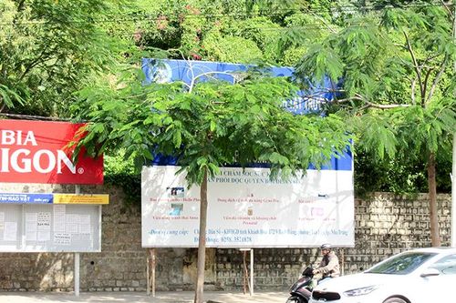 Pa nô tuyên truyền bị tán cây che khuất
