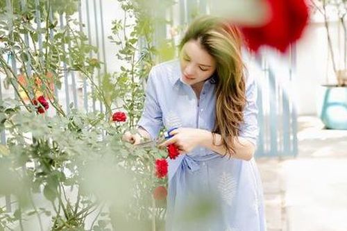 Hậu chia tay, Lý Nhã Kỳ tìm bình yên bên căn nhà đầy hoa hồng ở Đà Lạt