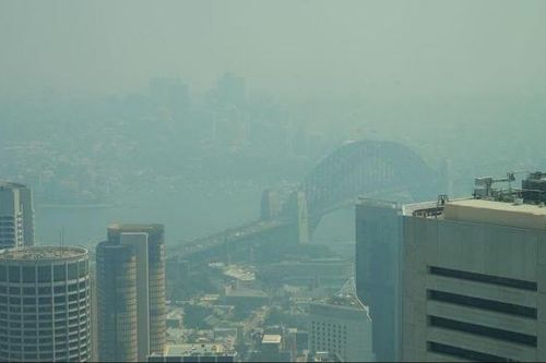 Thành phố Sydney đối mặt tình trạng khẩn cấp y tế do khói mù