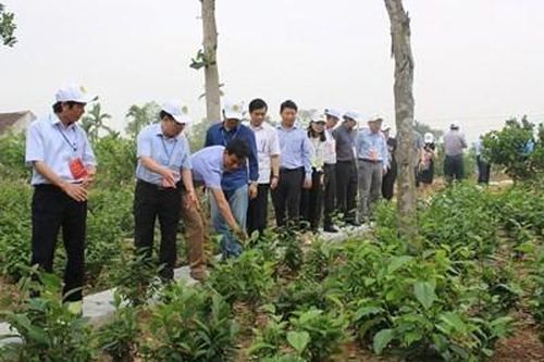 Sức sống mới trên vùng 'chảo lửa, túi bom'