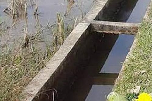 Hoảng hồn phát hiện thi thể mắc kẹt dưới mương nước