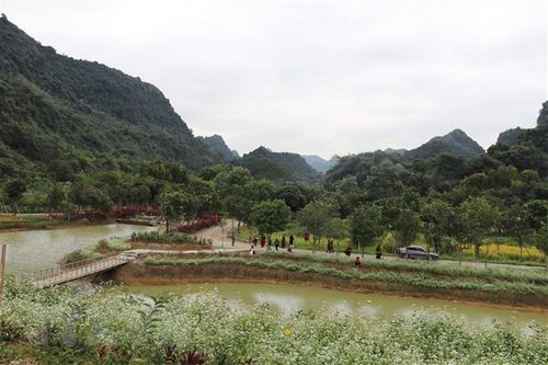 Kiên quyết xử lý hành vi xây dựng sai phép tại Khu du lịch Thung Nham