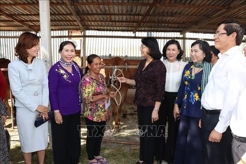 Phó Chủ tịch nước kiểm tra, giám sát công tác thi đua, khen thưởng tại tỉnh Tây Ninh