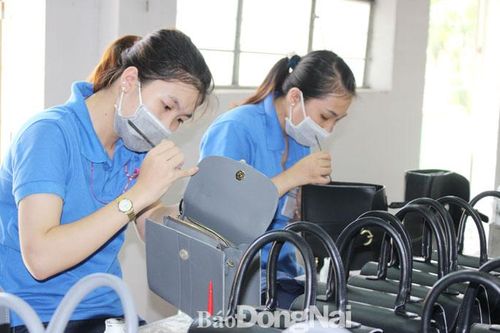 Tìm cơ hội xuất khẩu từ thị trường CPTPP