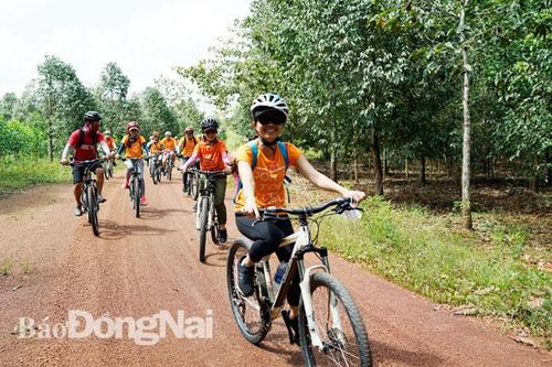 Sáng tạo, thực tế và hiệu quả