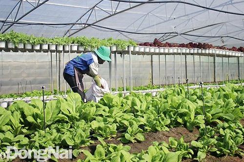 Chuyển hướng sản xuất an toàn