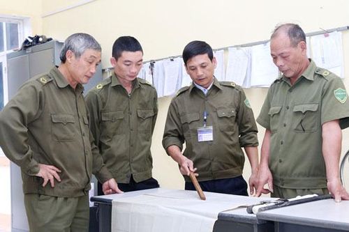 Phong Hải đảm bảo an ninh, trật tự