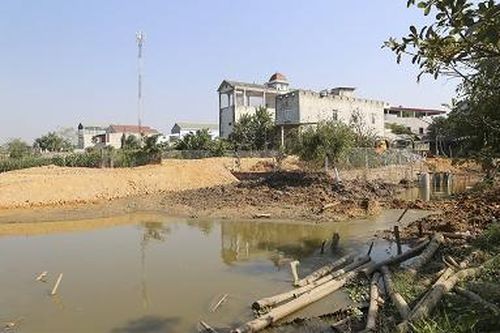 Đình chỉ hoạt động san lấp ruộng trái phép