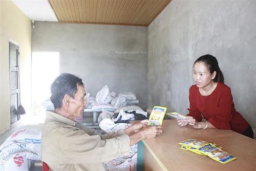 Tăng cường quản lí hoạt động kinh doanh phân bón, thuốc bảo vệ thực vật