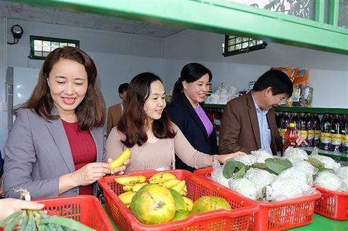 Vĩnh Linh: Khai trương gian hàng thứ 2 giới thiệu sản phẩm công nghiệp nông thôn, nông nghiệp sạch