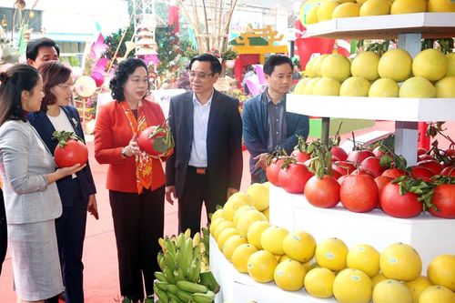 Đưa tiến bộ khoa học vào sản xuất nông nghiệp chất lượng cao, bảo đảm an toàn thực phẩm