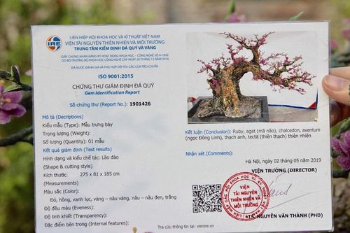 Cận cảnh cây đào làm bằng đá quý giá trăm triệu đồng tại Hà Nội