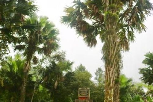 Công nhận xã An toàn khu, vùng An toàn khu trên địa bàn tỉnh Bắc Kạn