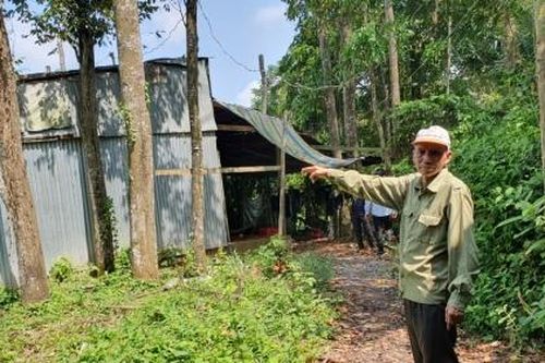 Phó Thủ tướng yêu cầu làm rõ nội dung tố cáo liên quan đến đất đai ở tỉnh Đồng Tháp
