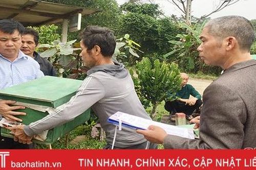 Hỗ trợ 200 đàn ong giống cho hộ nghèo, cận nghèo ở xã miền núi Hương Khê
