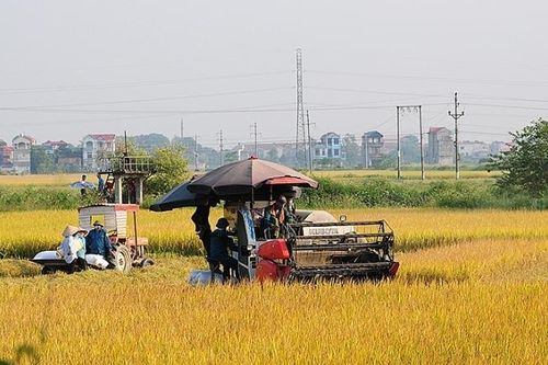 GDP thêm 935 nghìn tỷ đồng/năm