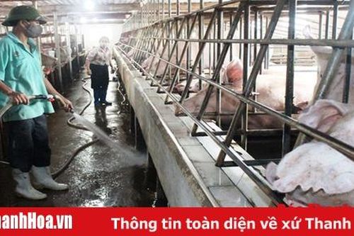 Khi nông dân biết làm giàu