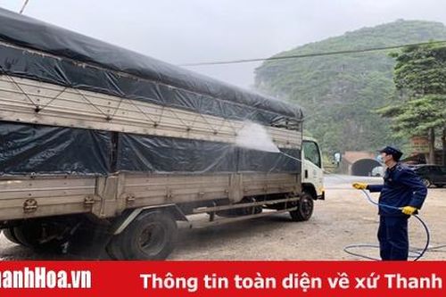 Gần 1,2 triệu con lợn tiêu thụ có kiểm soát