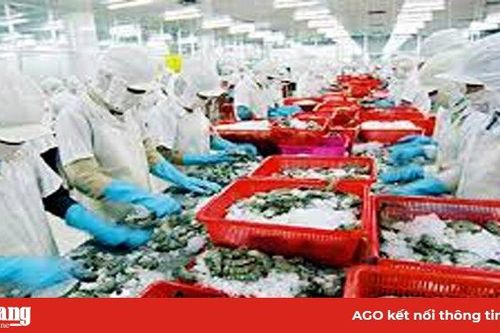 Trả lời cử tri về lĩnh vực nông, lâm, thủy sản