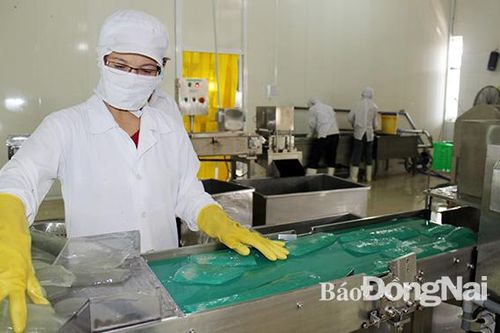 Thu hút doanh nghiệp đầu tư vào nông nghiệp, nông thôn: Chưa như kỳ vọng
